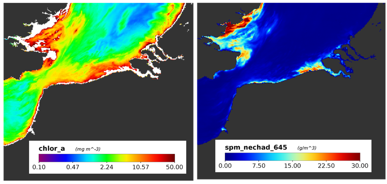 CHL + TSM (SNS) MODIS