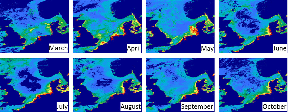 2006 Monthly Chlorophyll (mg/m³) means derived from MERIS